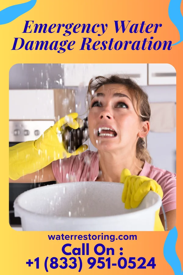 Emergency Water Damage Restoration in Graceham, MD