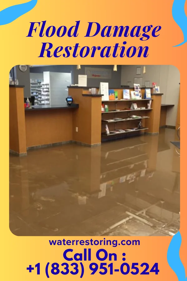 Flood Damage Restoration in Graceham, MD