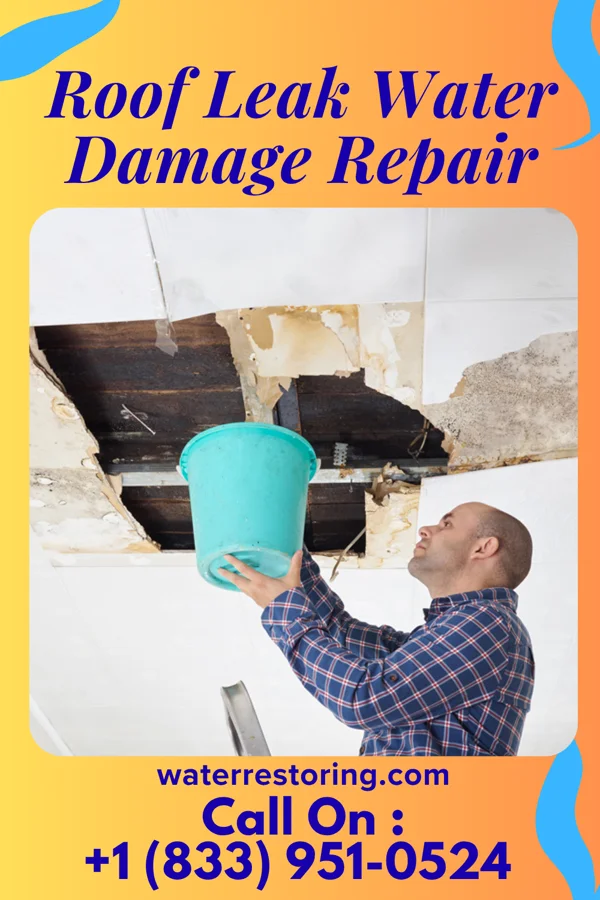 Roof Leak Water Damage Repair in Graceham, MD