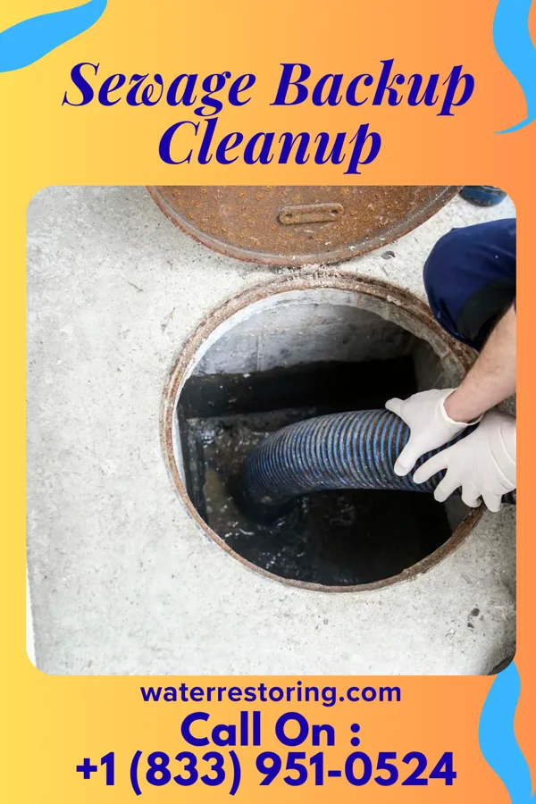 Sewage Backup Cleanup in Graceham, MD